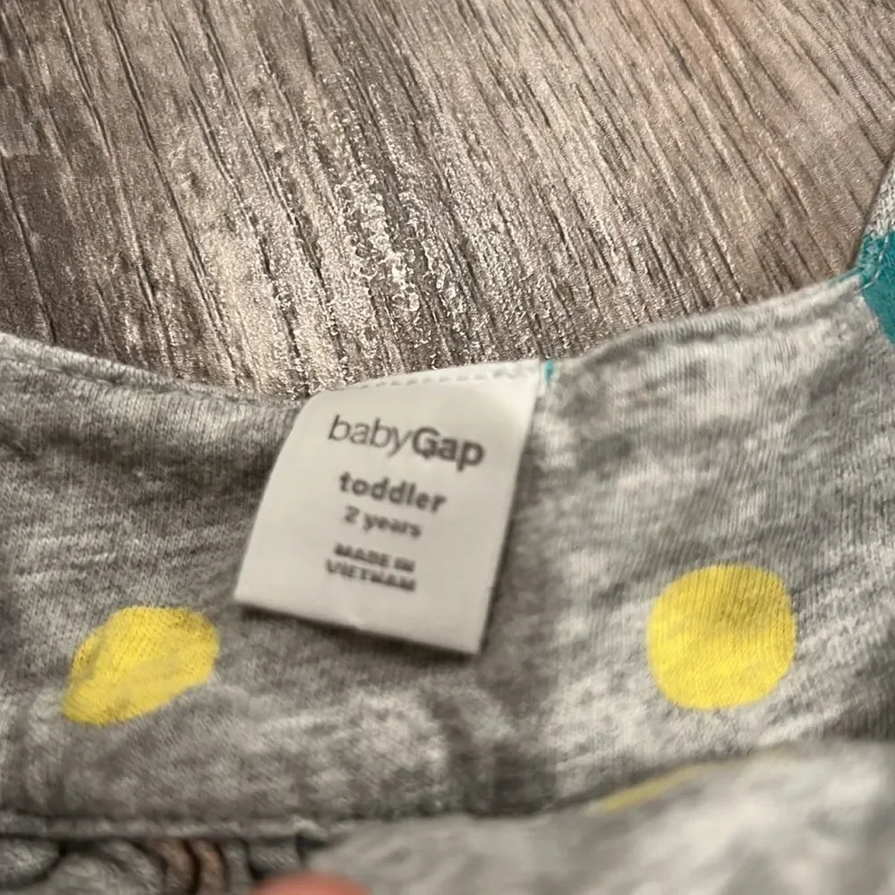 Baby Gap dress 2t